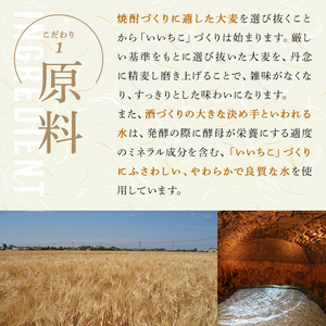 いいちこ長期熟成貯蔵酒 20度(計1.44L・720ml×2本)酒 お酒 むぎ焼酎 720ml 麦焼酎 いいちこ アルコール 飲料 常温【106101600】【酒のひろた】