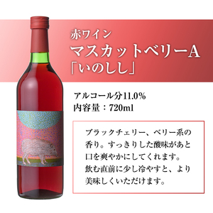 ワイン2本セット(赤ワイン＋ロゼワイン)酒 お酒 アルコール ぶどう 葡萄 安心院産 飲み比べ セット 安心院＊小さなワイン工房 【100802601】【百笑一喜】