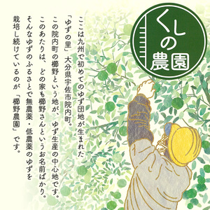 宇佐の柚子サイダーセット(計2L・200ml×10本)ゆず ドリンク ジュース 果汁飲料 柚子 夏みかん サイダー セット【100600301】【櫛野農園】