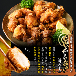 宇佐からあげ「太閤」セット(合計1.25kg・3種) 年内配送 から揚げ 唐揚げ 骨なし 手羽元 砂肝 砂ずり 簡単 冷凍 惣菜 弁当 おかず おつまみ 揚げるだけ 【101100100】【太閤】