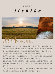 いいちこ フラスコボトル 30度(計1.44L・720ml×2本)酒 お酒 むぎ焼酎 720ml 麦焼酎 高精白 いいちこ 常温 三和酒類 ボトル セット【104303401】【山添産業】