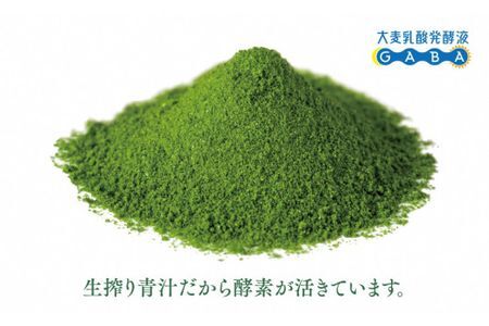 大麦若葉青汁 大麦のちから(計90g・3g×30袋)青汁 大麦若葉 GABA 飲料 粉末 常温【101601900】【江戸心本館USA　未来ファクトリー事業部】