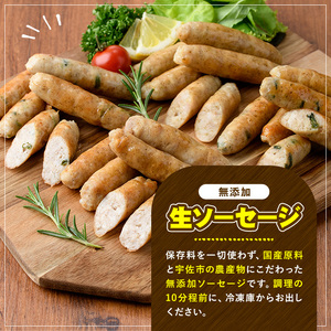無添加生ソーセージ(合計800g・4種)国産 ソーセージ 惣菜 おかず お弁当 おつまみ 小分け セット 勝負めし【102000200】【サンセイ　安心院ソーセージ】