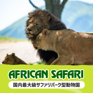 アフリカンサファリ入園券とオリジナルクリアファイルのセット(入園券(大人3枚)とクリアファイル)チケット 動物園 サファリパーク形動物園 家族旅行 デート 観光【110601200】【九州アフリカ・ライオン・サファリ】