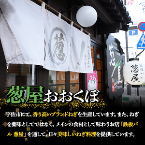 鉄板バル葱屋の ねぎしゃぶセット(2～3人前)ねぎしゃぶ しゃぶしゃぶ 豚肉 ぶた肉 ぶたにく お肉 鍋セット 乾麺 出汁 だし ポン酢 勝負めし【110700501】【葱屋おおくぼ】