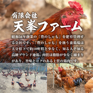 大分地鶏豊のしゃも地鶏出汁スパイスカレー(計900g・180g×5パック)レトルト 簡単調理 惣菜 時短 常温 ご当地カレー【112400301】【天峯ファーム】