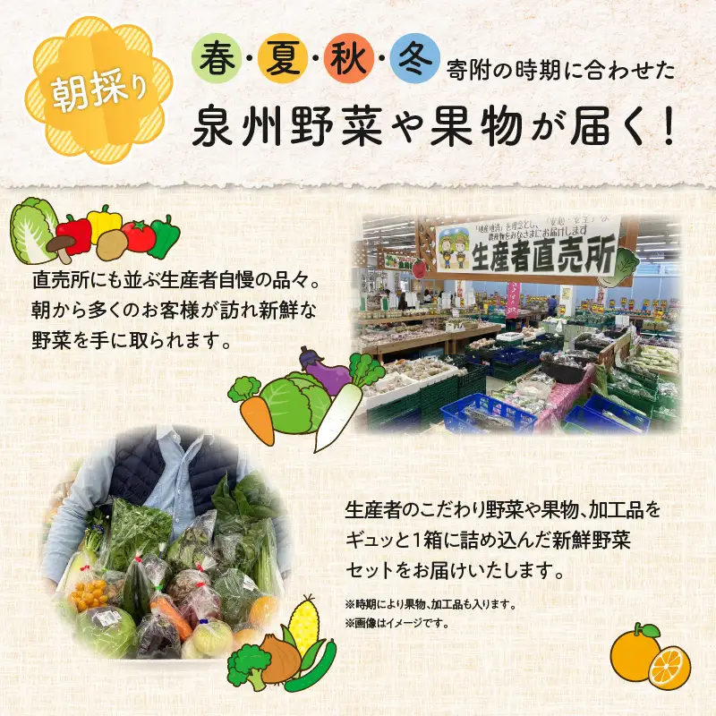 泉州野菜 定期便 7種類×全6回【毎月配送コース】