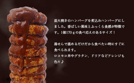 76-A4B湯せんで簡単！デミグラス煮込みハンバーグ 10個セット（170g×10個）