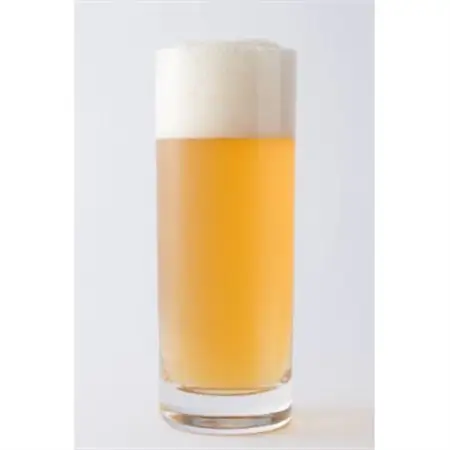 クラフトビール　尚、慈悲深い虎の独り言(ヴァイツェン)330ml×4本セット【配送不可地域：離島】【1224224】