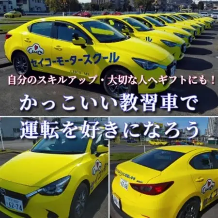 普通車 技能教習チケット(1時限分)【1232466】