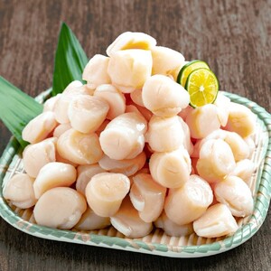32-42 冷凍帆立貝柱200ｇ×8パック(計1.6kg) ｜ ホタテ ほたて 玉冷