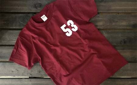 17-96 ゆるキャラ紋太グッズ(Tシャツ[バーガンディーL]、タオル[ブルー])