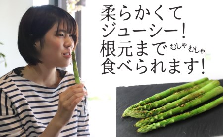 《令和8年産》飛騨のごちそうアスパラガス L-2L 1.0kg アスパラガス [B0200] syun78 