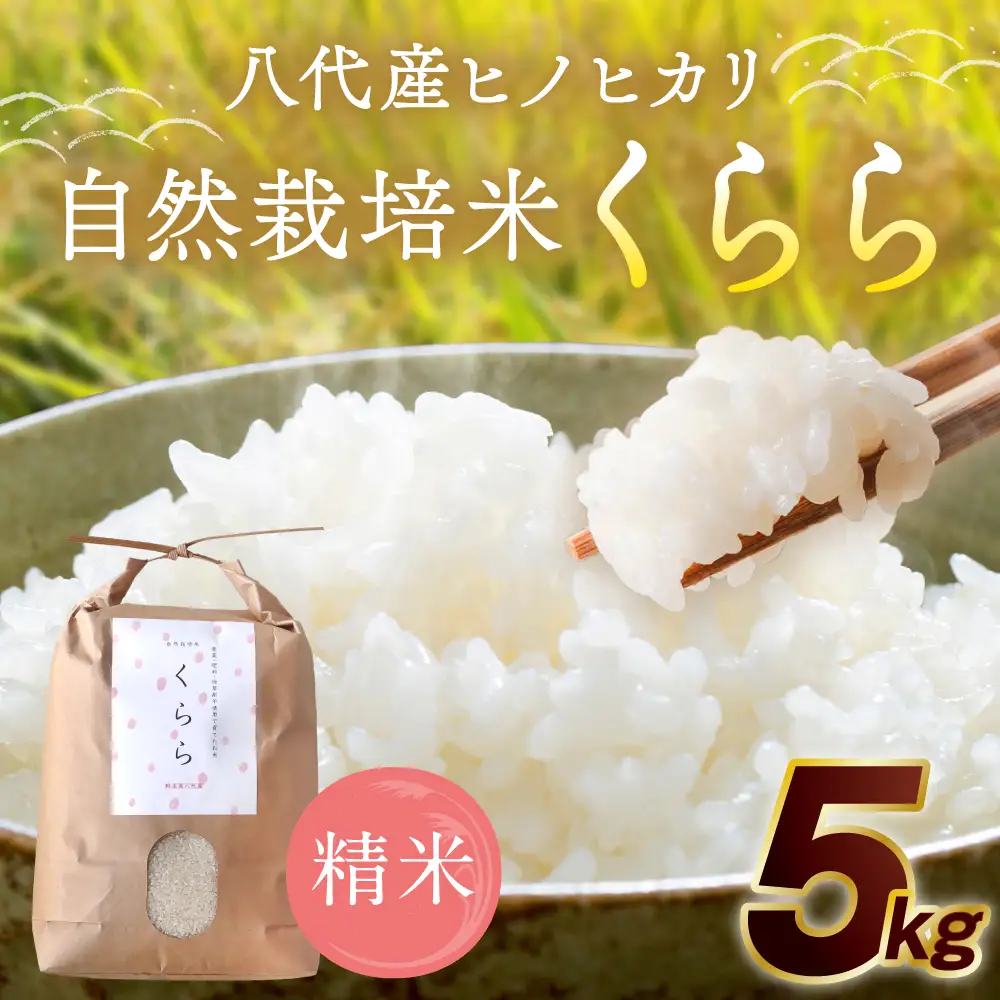 《令和7年産》 自然栽培米 くらら 精米 5kg （八代産ヒノヒカリ）