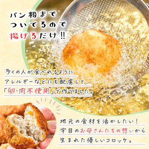 手作り！さといもコロッケ(10個) コロッケ さといも 里芋 さと芋 卵不使用 肉不使用 手作り 揚げるだけ 惣菜 おかず お弁当 大分県 佐伯市【GN004】【Ichihashi企画】