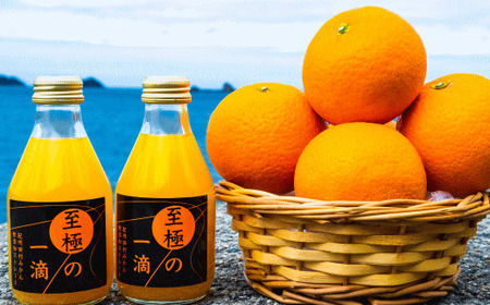 【無添加】田村みかんの新鮮100％ジュース「至極の一滴」180ml×12本入り