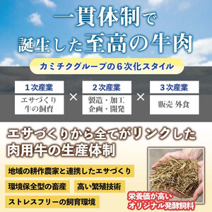 【3回定期便(隔月)】鹿児島県産 黒毛和牛 ユッケ  ＜(40g×5P・計200g)×全3回＞ 毎月数量限定 【カミチク】 i823