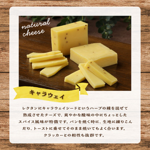 チーズ工房のナチュラルチーズ　キャラウェイ100g×2　チーズ キャラウェイ 100g × 2 国産 ナチュラルチーズ セミハードタイプ スパイス風味 ハーブ キャラウェイシード クラッカー トースト 北海道 浜中町 お取り寄せ 加工品 食品 乳製品 おつまみ 冷蔵配送 送料無料_H0003-106