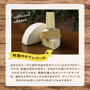 チーズ工房のナチュラルチーズ　牧場のカマンベール100g×2 カマンベールチーズ 国産 ナチュラルチーズ カマンベールタイプ ディップソース ウイスキー 赤ワイン 北海道 浜中町 お取り寄せ 加工品 食品 冷蔵配送 送料無料_H0003-103