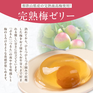梅の花　梅ゼリー　12個入_梅ゼリー 95g × 12個 完熟 南高梅 まるごと 一粒 使用 優しい 甘さ 喉越し 爽やか とろける 食感 アレンジ シャーベット 梅酒ソーダ 梅 ゼリー おやつ デザート スイーツ フルーツゼリー 和菓子 贈答用 手土産 お取り寄せ グルメ 福岡県 久留米市 送料無料 〔Dw043〕