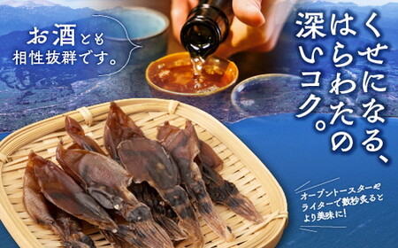 【3か月定期便】ほたるいか 素干し 100枚 ｜ おつまみ 肴 ハマオカ海の幸 定期便 魚貝類 干物 加工品 いかの干物 ホタルイカの干物 お酒のあて 日本酒に合う 晩酌 ※北海道・沖縄・離島への配送不可