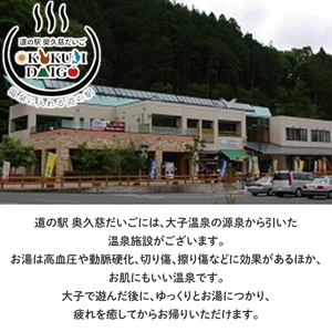 道の駅 奥久慈だいご 温泉 ペア利用券 + サイクルステーション Eバイク 1日 ペア利用券 セット(BS003)