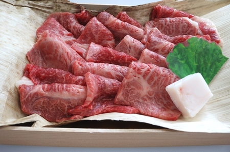 チルド 宇陀里牛 焼肉用 約700g ／ ふるさと納税 ふるさと 焼肉 牛肉 焼き肉用肉 ギフト お肉 バーベキュー BBQ キャンプ 黒毛和牛 お中元 暑中見舞い お土産 薄切り 切り落とし 正月 奈良県 宇陀市 光福久屋