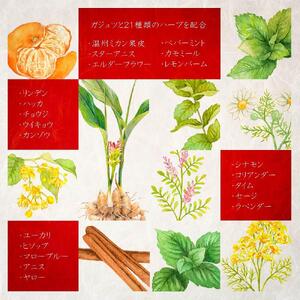 屋久島・種子島産ガジュツ配合 恵命堂我述飴（5袋セット）