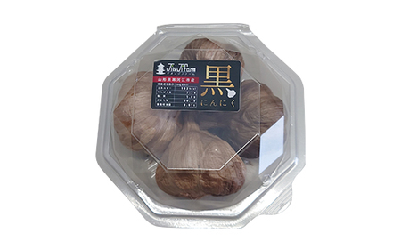 発酵熟成 黒にんにく 500g （200g×2パック＋100g×1パック） F2Y-4523