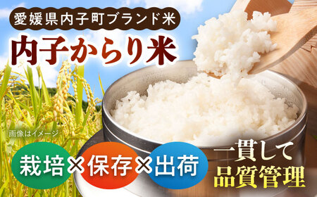 内子からり米 令和7年産ヒノヒカリ 20kg（精米10kg×2袋） BKAD093