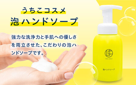 うちこコスメ泡ハンドソープ 250ml＆詰め替え用500mlセット BKAZ002