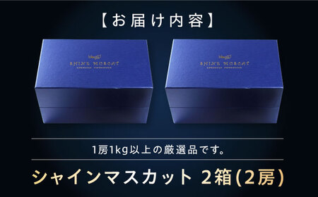 シャインマスカット 2房 bloom leaf シャインマスカット BKBI001