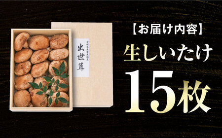 生しいたけ 15枚入 BKAY014