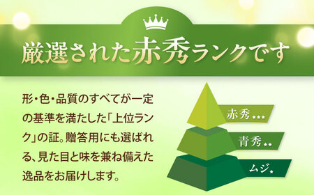 【先行予約】内子町産 シャインマスカット 赤秀 1房入 750g以上 BKAY007