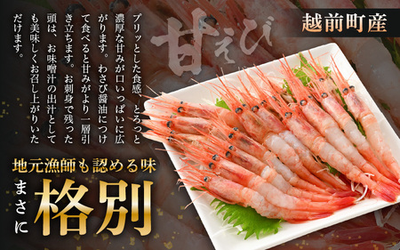  お刺身 セット 甘海老 250g×1P ＆ お刺身 サーモン 100g×1P 【福井県 冷凍 小分け 刺身 鮭 サケ さけ えび 海老 エビ】 [e04-a087]