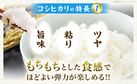 令和7年産 コシヒカリ 計10kg_DB44-25