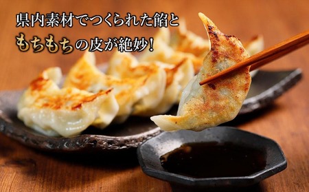 【 ミシュランガイド掲載 】 焼き餃子 定期便 ( 30個 × 3回 ) タレ・作り方付き 焼き餃子 餃子 定期便 ギョーザ 定期便 餃子 ギョーザ 定期便 点心 中華 餃子 ギョーザ 定期便 餃子 ギョーザ 点心 中華 点心 中華料理 愛媛 松山市 松山おすすめ 定期便【YE0141】