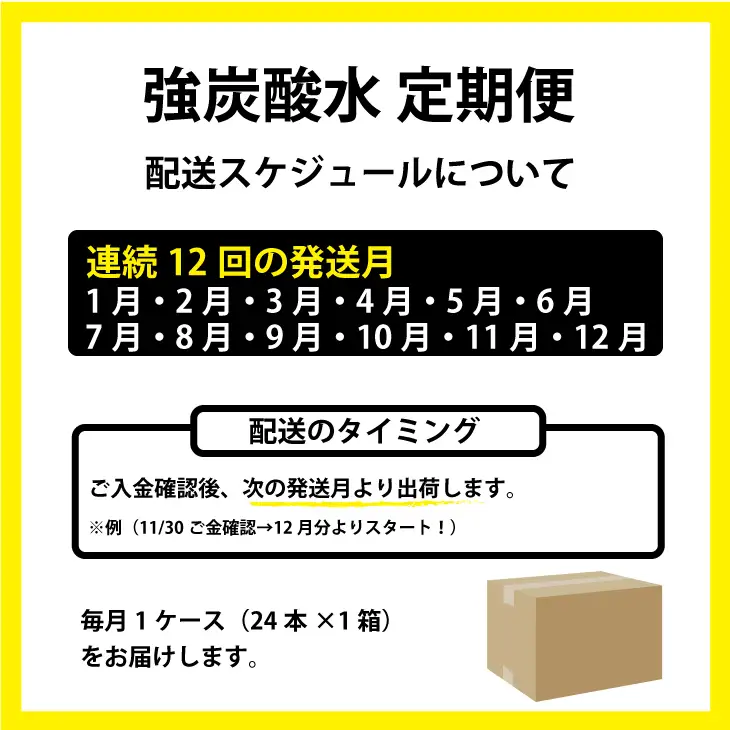 【定期便】（12ヶ月連続お届け）強炭酸水（500ml）1ケース（24本入り）×12回 炭酸 飲料 Q072-002