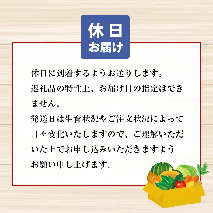 淡路島の新鮮野菜セット【休日お届け】　野菜
