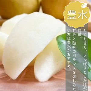 【2026年産先行予約】＜贈答用＞果汁たっぷりの極上梨「豊水・3kg」6～9玉 千葉県 船橋市産