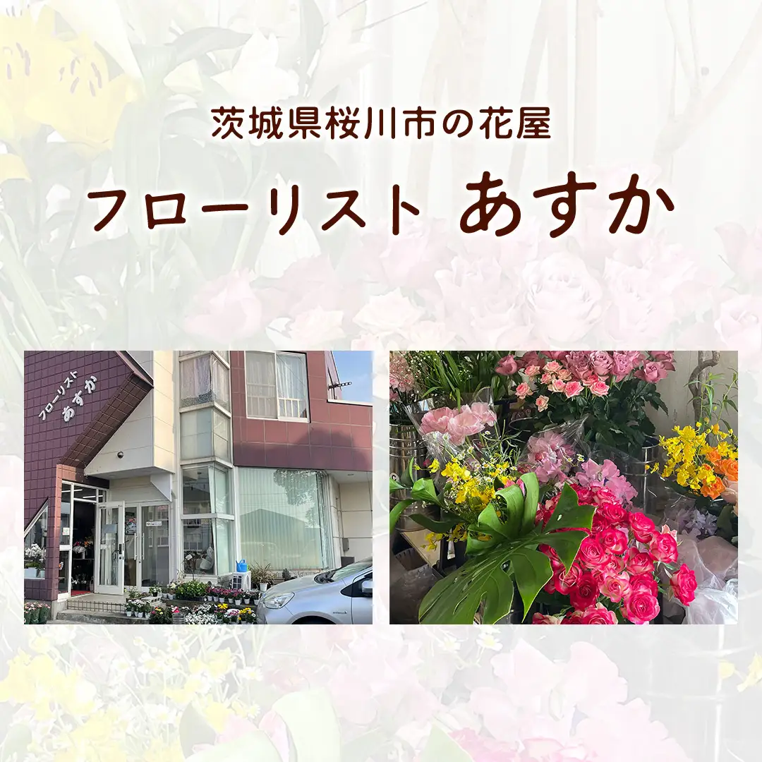 胡蝶蘭 3本立ち 36輪前後 プロが選んでお届け 胡蝶蘭 フラワーギフト お祝い 誕生日 鉢植え 花 贈り物 ギフト 蘭 ラン [CY002sa]