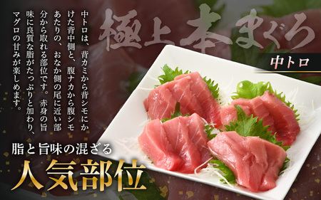 お刺身 セット サーモン 100g × 2P ＆ 本まぐろ 中トロ 100g ×1P【福井県 冷凍 小分け 刺身 鮭 サケ 鮪 】 [e04-a089]