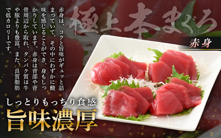 お刺身 セット サーモン 100g × 2P ＆ 本まぐろ 赤身 100g × 1P 【福井県 冷凍 小分け 刺身 鮭 マグロ】 [e04-a088]