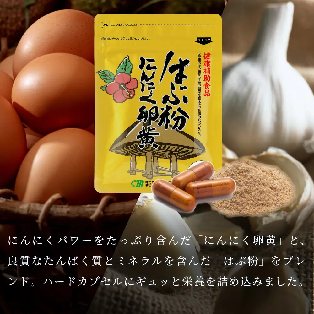 【健康補助食品】はぶ粉にんにく卵黄 （31粒入り×2袋） にんにく 卵黄 健康 美容 にんにく卵黄 食品 ニンニク 正食研究所 鹿児島 南さつま市