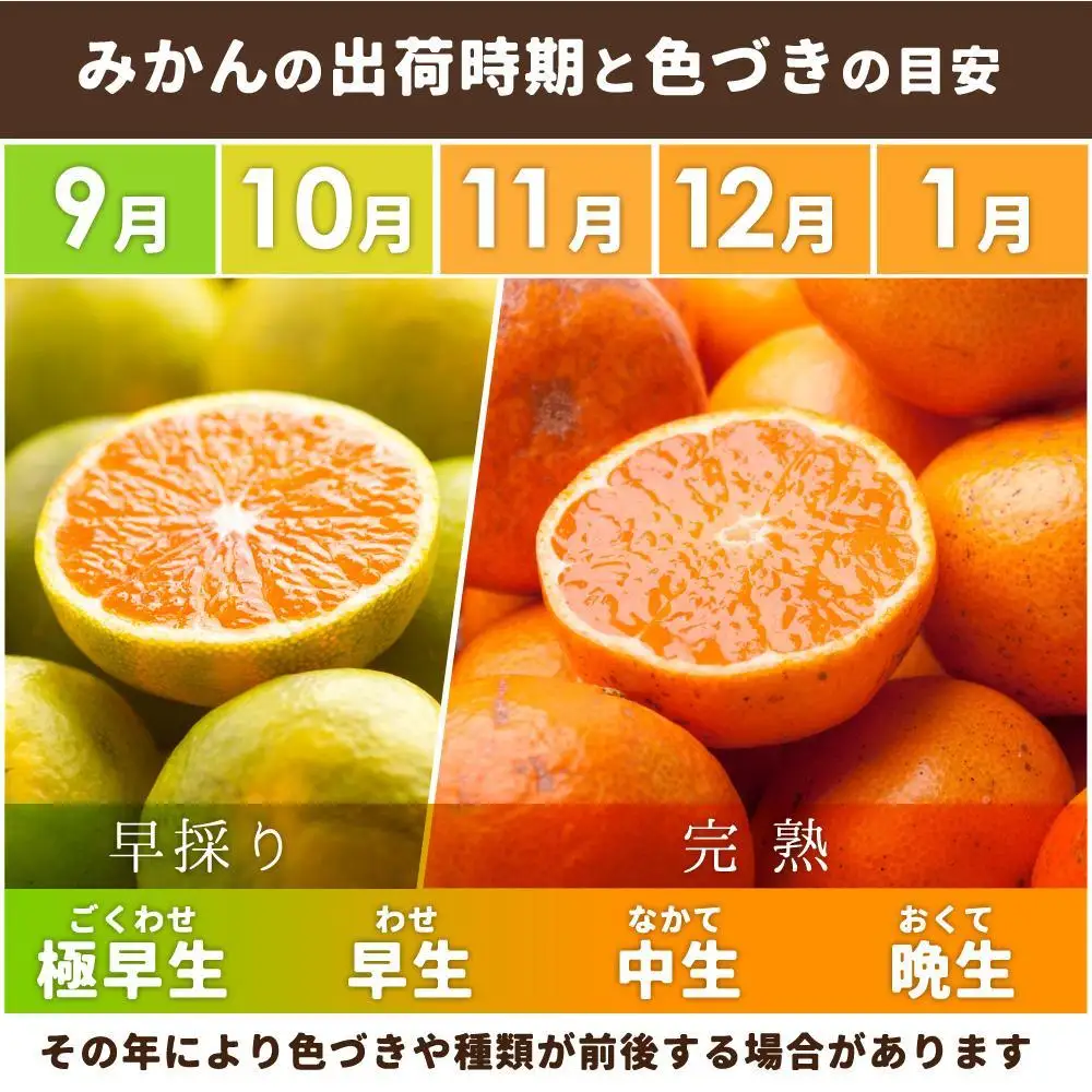 ［先行予約］家庭用 有田みかん5kg+250g（傷み補償分）［2026年10月初旬から2027年1月末日頃順次発送予定］［IKE247］