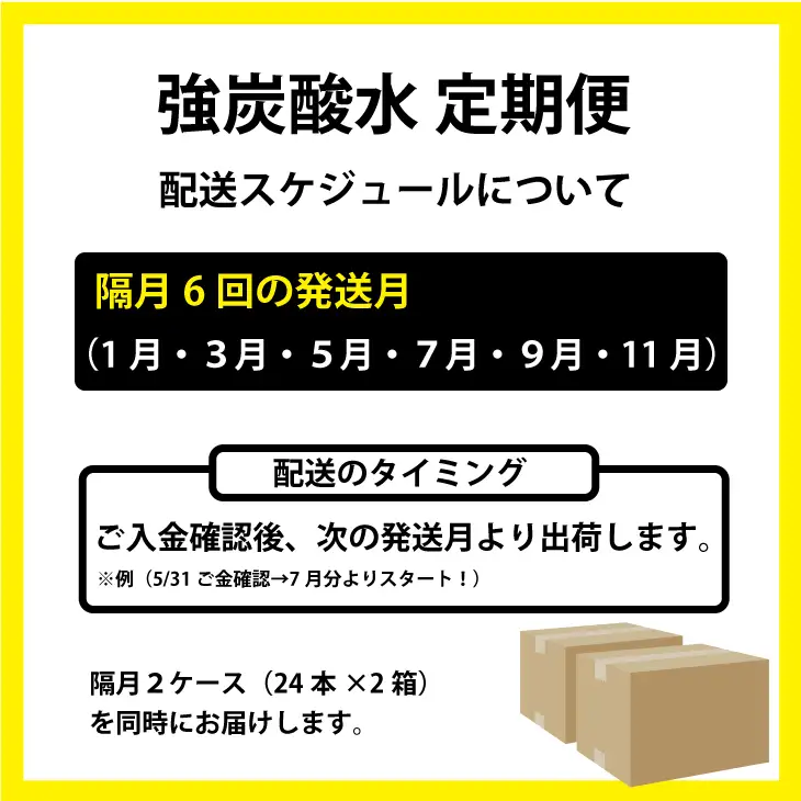 【定期便】（年/隔月）強炭酸水（500ml）2ケース（48本入り）×6回 炭酸 飲料 Q072-003