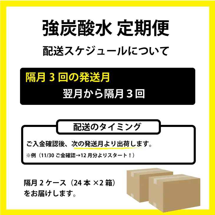 【定期便】（隔月）3回定期便 強炭酸水（500ml）2ケース（計48本） 炭酸 飲料 Q036-002
