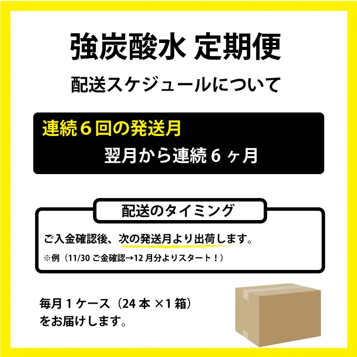 【定期便】連続6回 強炭酸水（500ml）1ケース（計24本） 炭酸 飲料 Q036-003