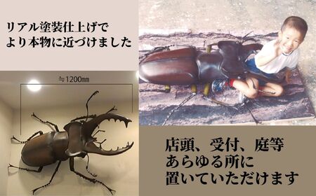 ミヤマ クワガタ 大型 リアル 模型 クワガタ 昆虫 おもちゃ 飾り（透明ケース付）