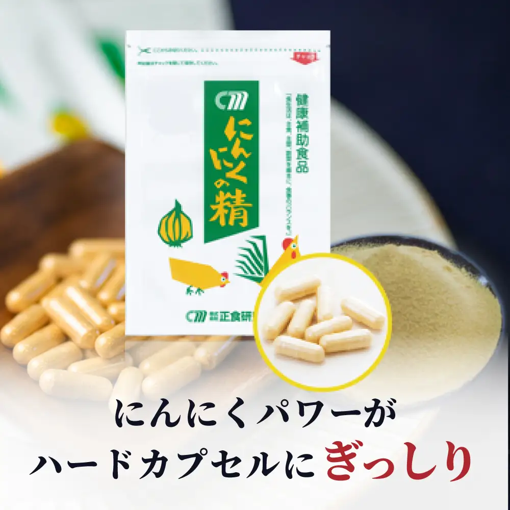 【健康補助食品】 にんにくの精（31粒入り×2袋）  にんにく 卵黄 健康 美容 にんにく卵黄 食品 ニンニク 正食研究所 鹿児島 南さつま市